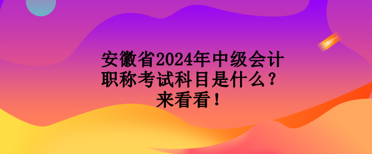 安徽省2024年中級會計(jì)職稱考試科目是什么？來看看！